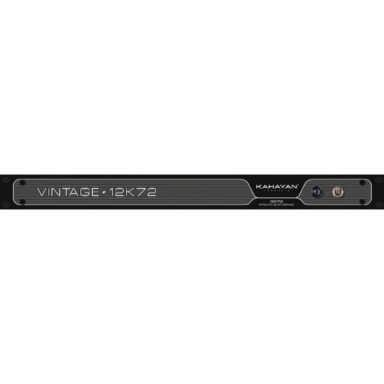 Epsilon Expansion vintage 12k72 module Epsilon Expansion vintage 12k72 module